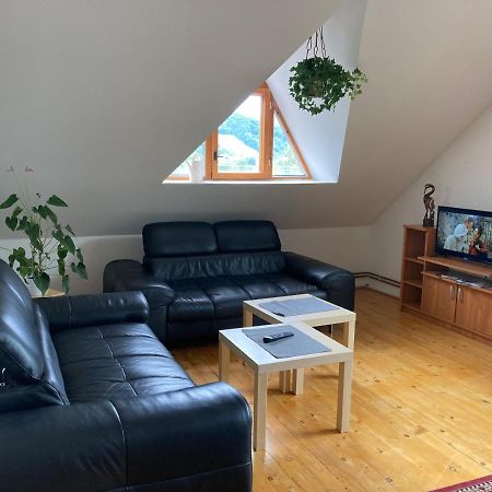 Apartman Pod Laznema Єсеник Екстер'єр фото
