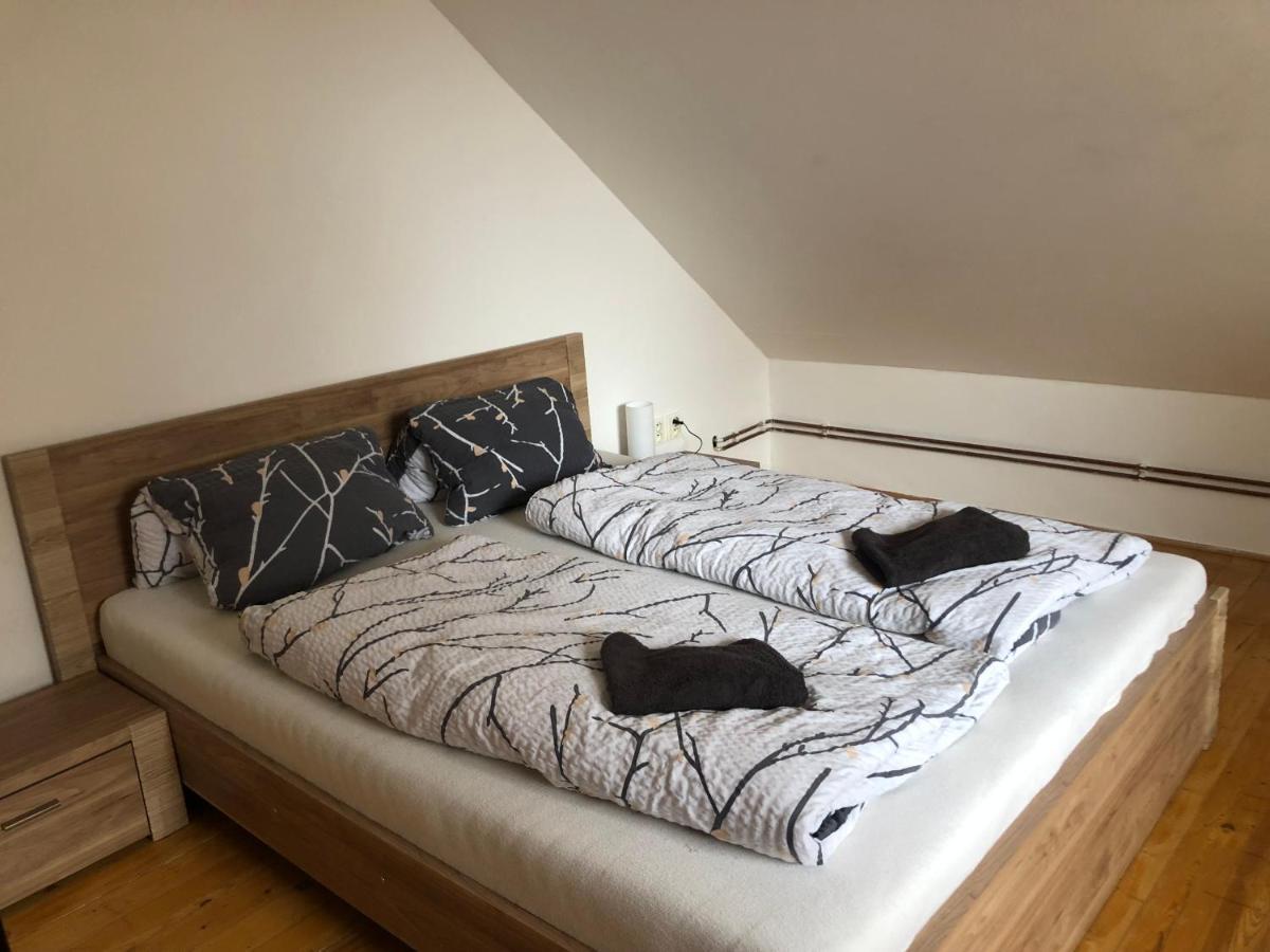 Apartman Pod Laznema Єсеник Екстер'єр фото